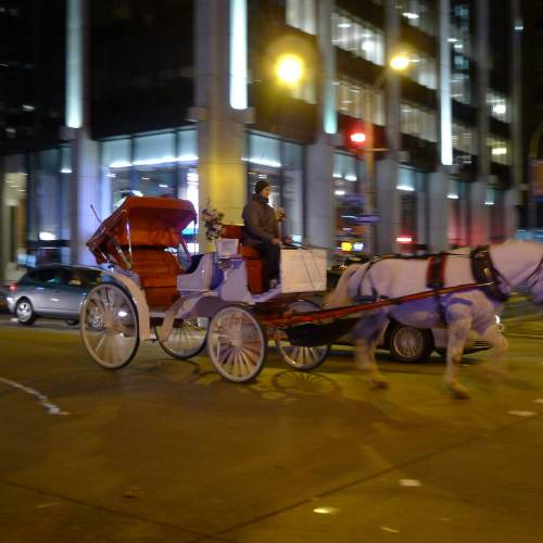 USA_2011-11-30 21-27-46